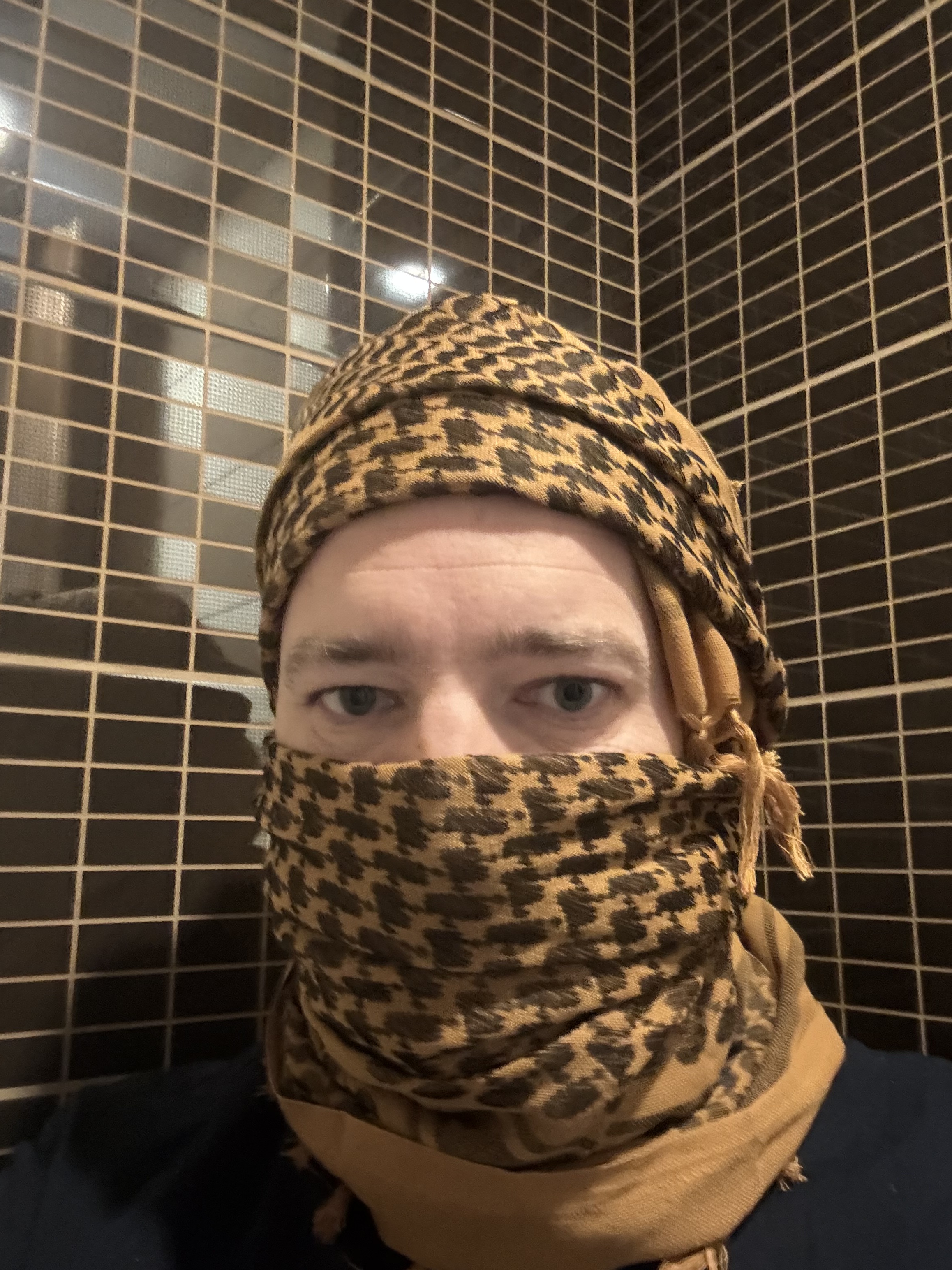 Marhi z rogovi iz senc